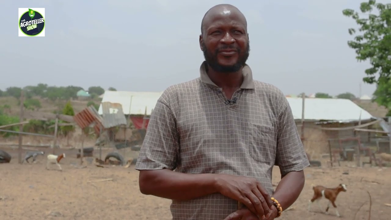 Former Banker Earns Millions Farming: Unbelievable Retirement Secret&nbsp;Revealed!
