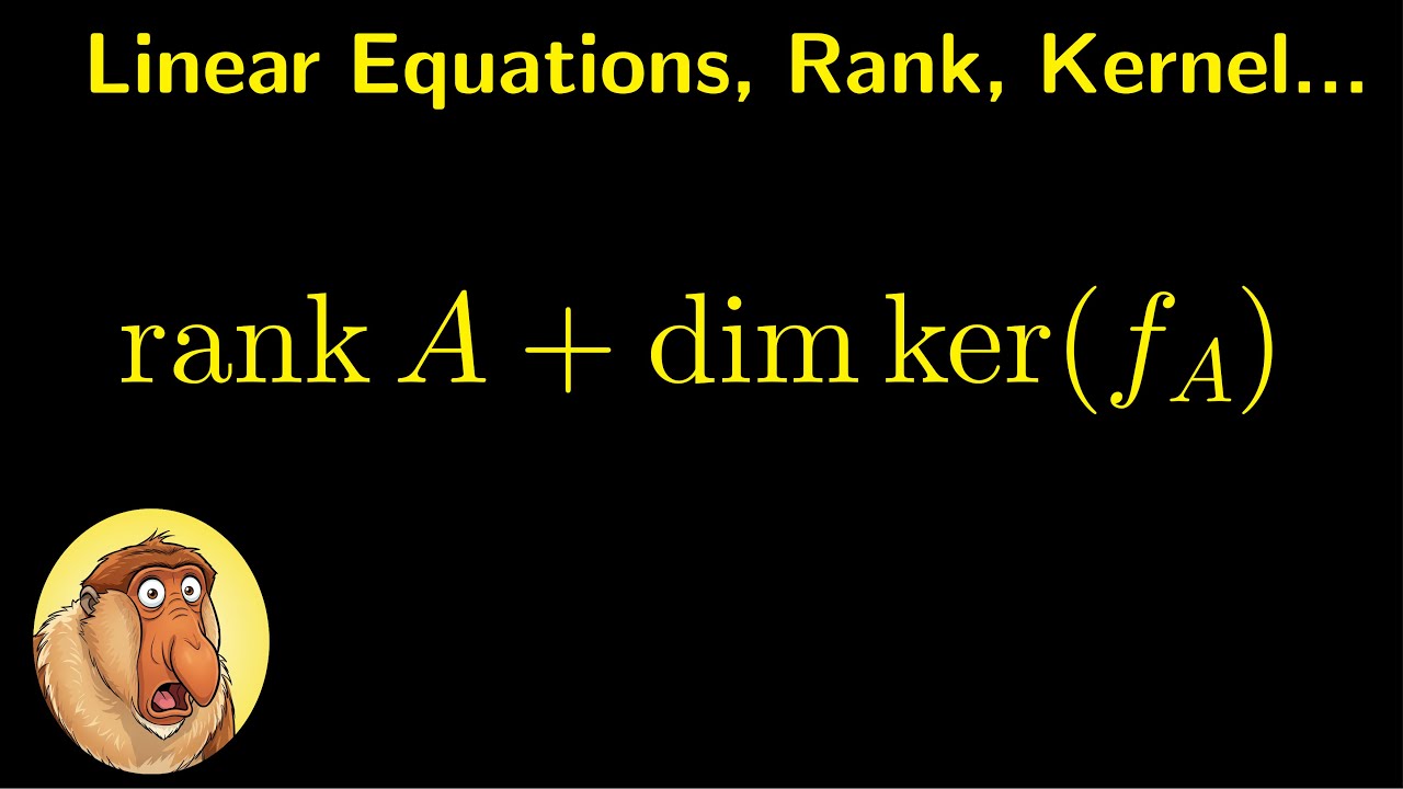 The Rank-Nullity Theorem: The Lost Dimension