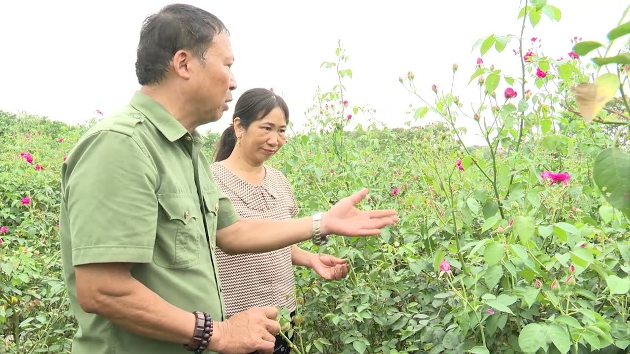 MTTQ Quang Hưng