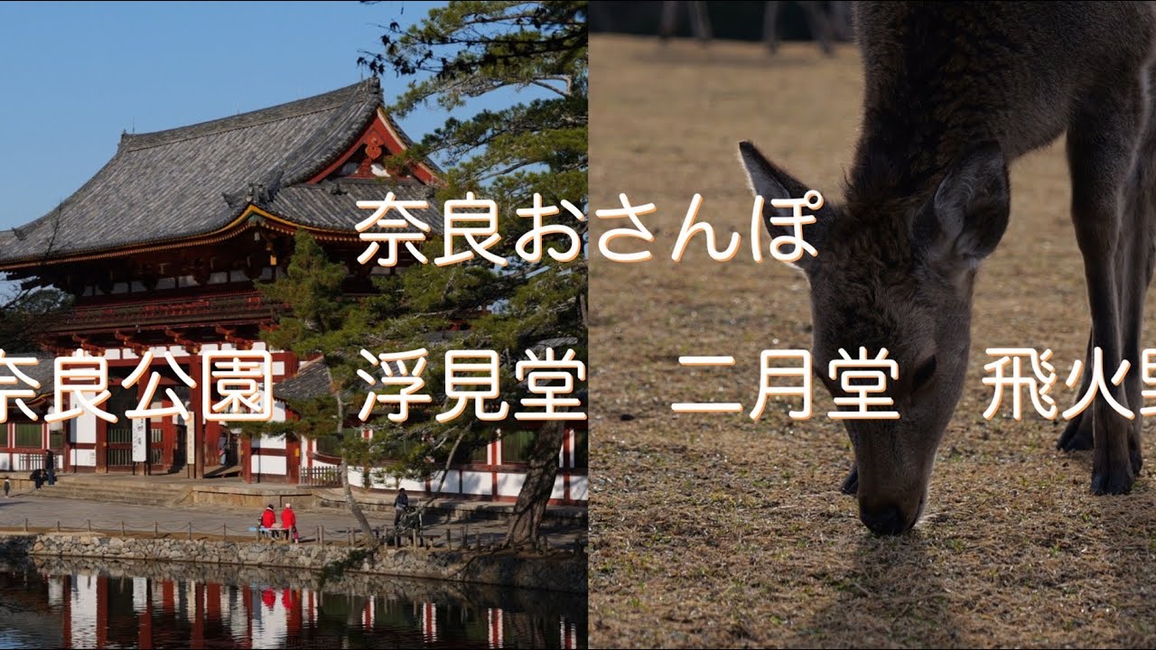 奈良公園、飛火野、二月堂、浮見堂、おさんぽ　Lumix S5Ⅱ 2025.12.28