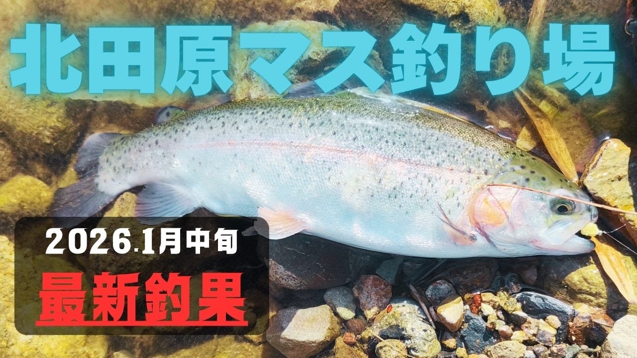 真冬の北田原ます釣り場フライフィッシング。季節外れのあたたかい日でもトラウトは反応する？