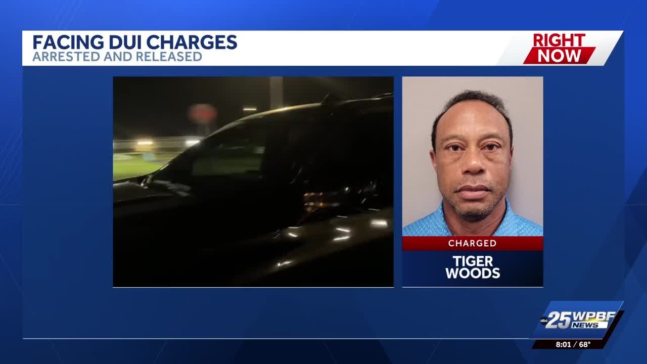 Tiger Woods zwolniony z więzienia na Florydzie po ośmiogodzinnym przymusowym przetrzymywaniu