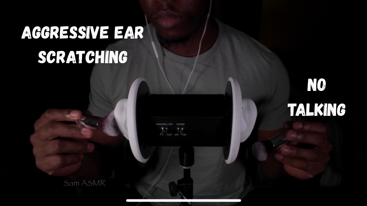 ASMR | Aggressive Ear Scratching w/ Makeup Brushes (No Talking)