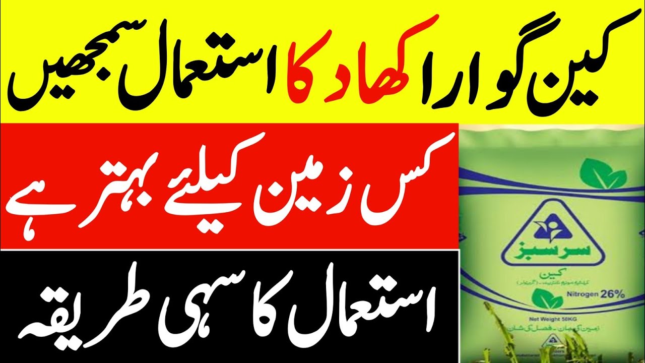 کین گوارا کھاد کیا ہے اور اسکا سہی استعمال سمجھیں|CAN Gawara Fertilizers in Pakistan |