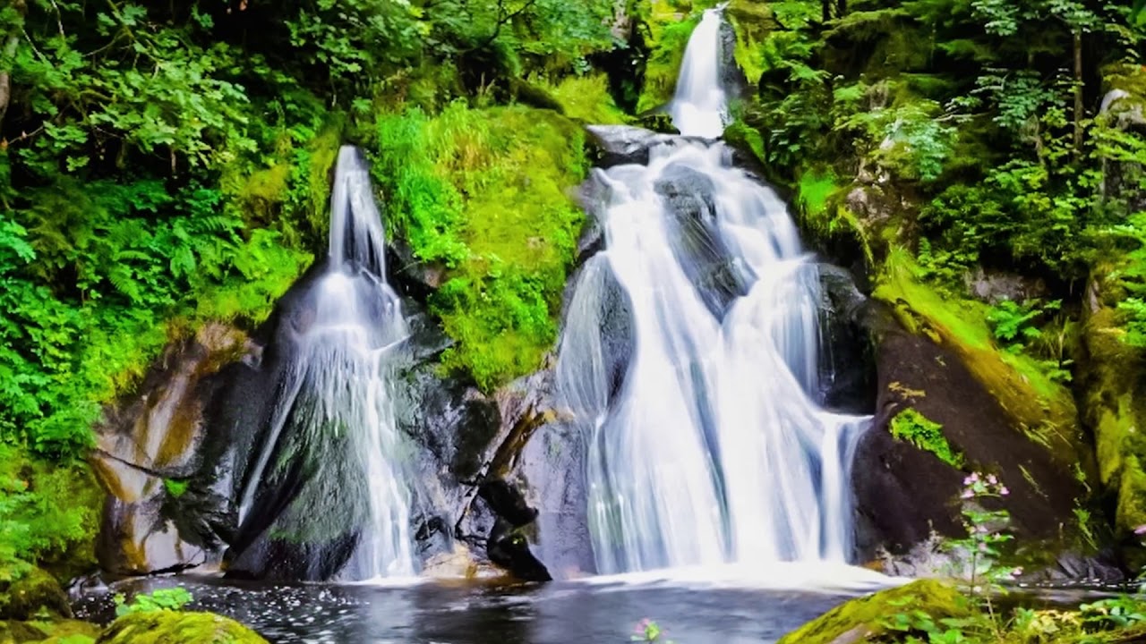 Triberg town and its beautiful waterfalls | Black Forest Diaries | Germany