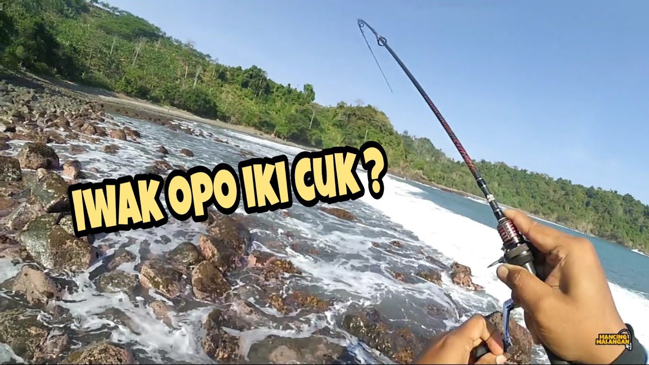 Mancing seru bareng anglerSNI - Bersama Asli Mancing - MM eps84