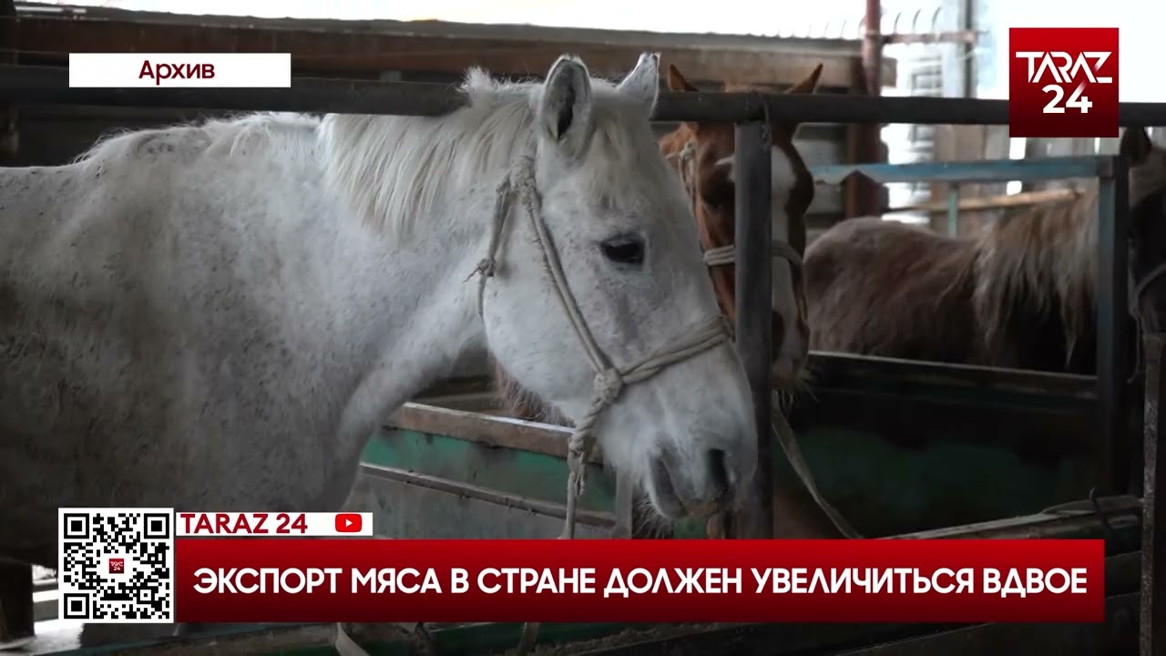 ЭКСПОРТ МЯСА В СТРАНЕ ДОЛЖЕН УВЕЛИЧИТЬСЯ ВДВОЕ
