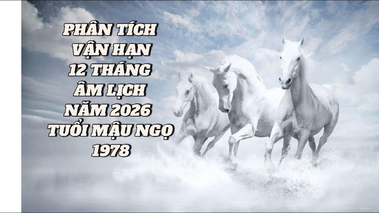 Tử vi 12 tháng âm lịch, tuổi Mậu Ngọ 1978 Năm 2026| Cẩn Thận Thị Phi & Hao Tài