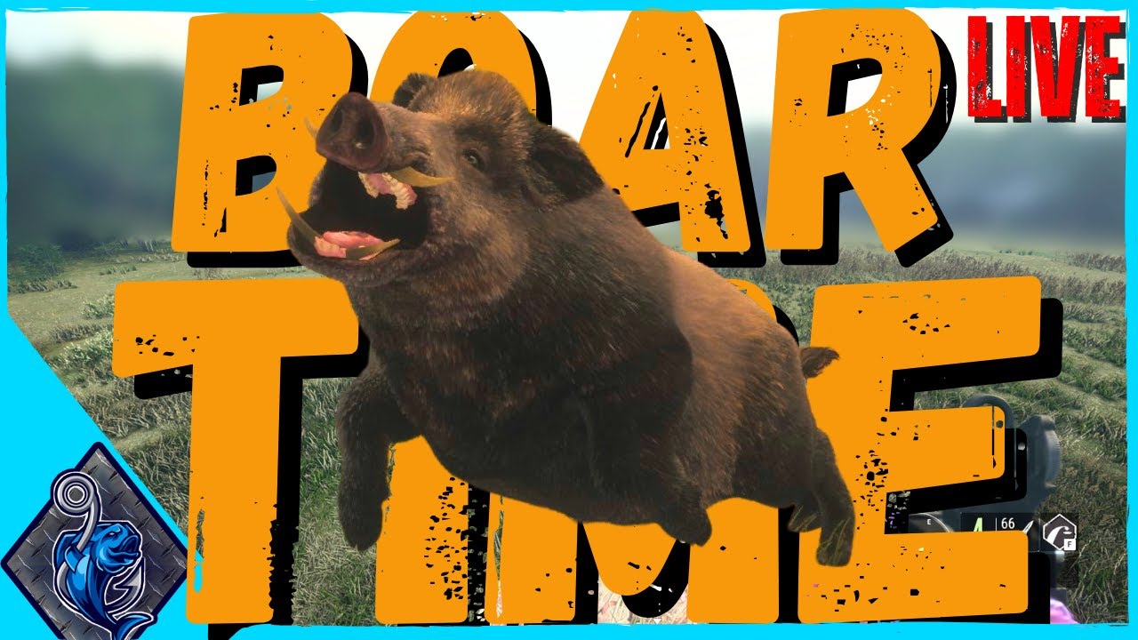 🔴 IS TODAY OUR DAY FOR MY BOAR GREAT ONE? !!!  (horizontal) CALL OF THE WILD