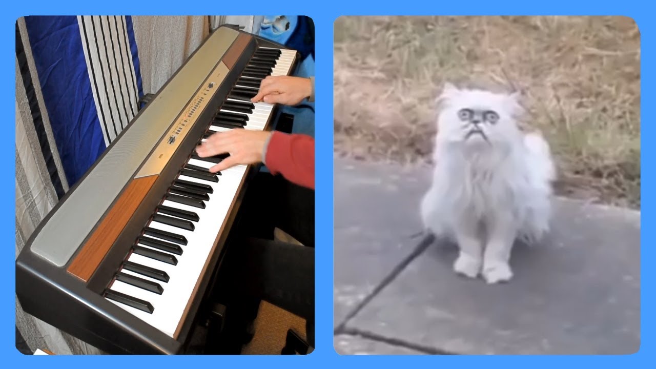 Weird Stray Cat Outside (Michael Rapaport) Piano Dub