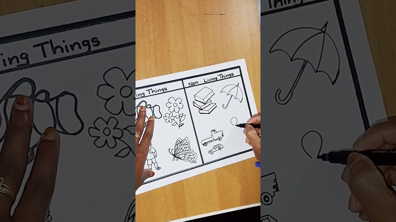 Livingthings#nonlivingthings#easydrawingforschool#trending#shorts
