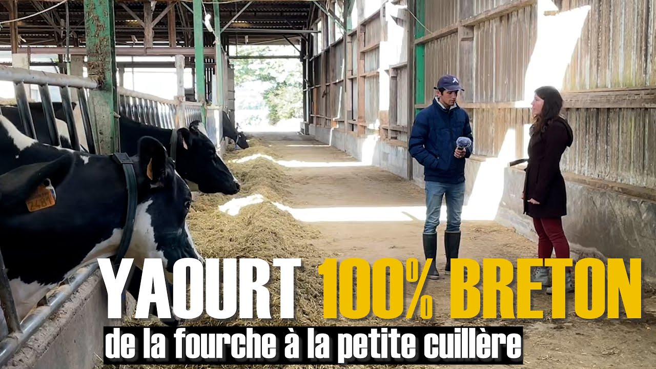 Visite de Ker Ronan, une ferme laitière qui produit ses yaourts sur place !
