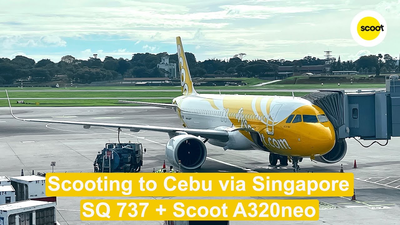 Scooting to Cebu via Singapore | SQ B737-800 + Scoot A320neo