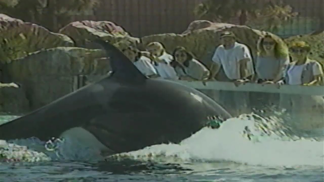 Wild Arctic - An Extreme Adventure - SeaWorld Promotional Video
