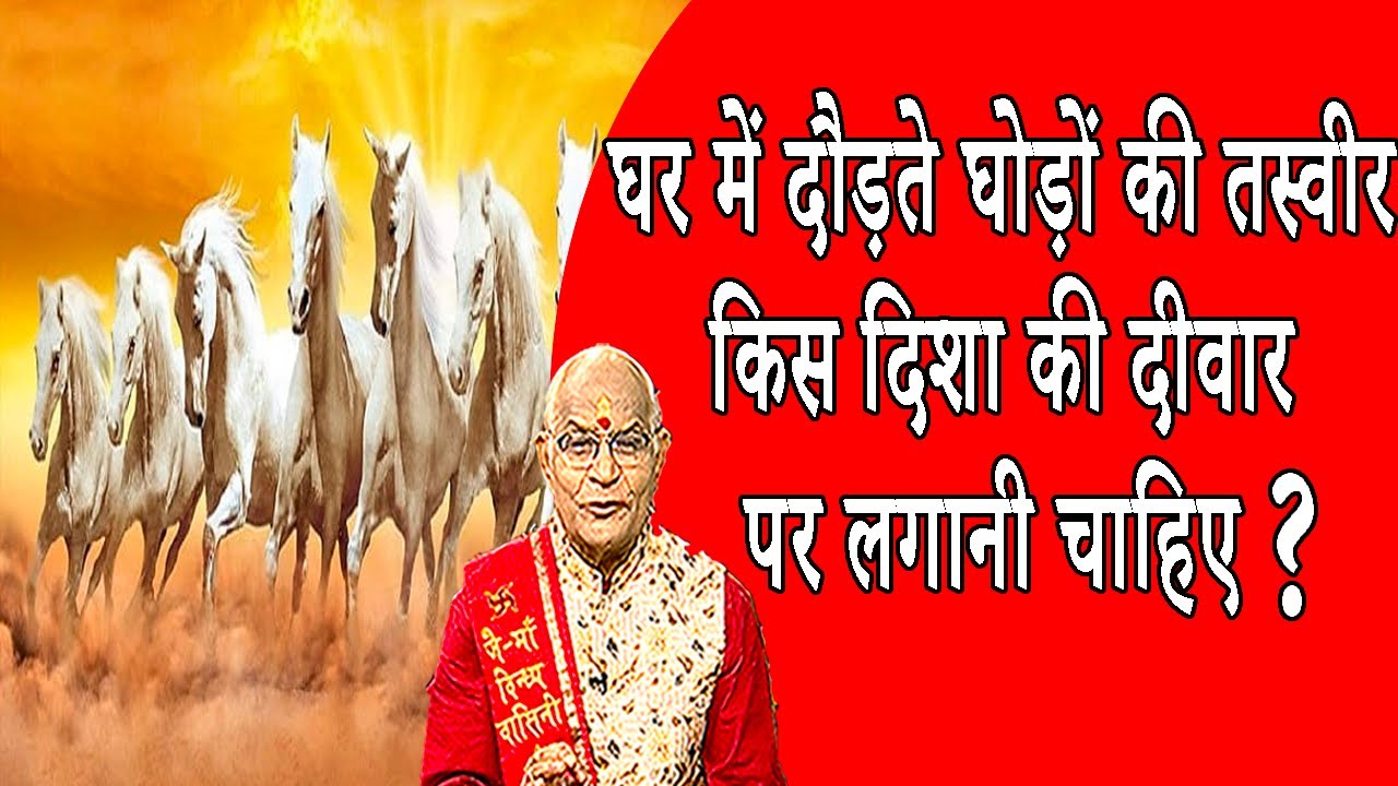 घर में दौड़ते घोड़ों की तस्वीर किस दिशा की दीवार पर लगानी चाहिए ? | Pandit Suresh Pandey | Darshan24