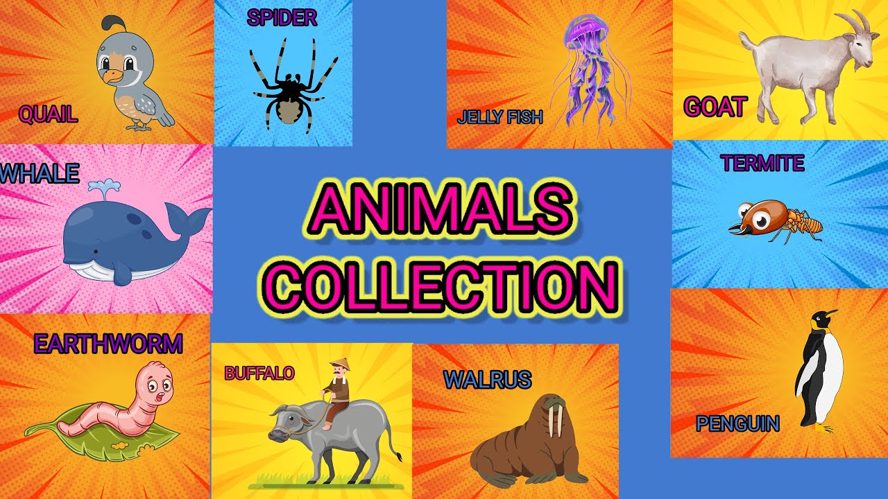 50+ Animals Name - Learn farm animals, sea animals, wild animals and insects name|Clever Kiddie