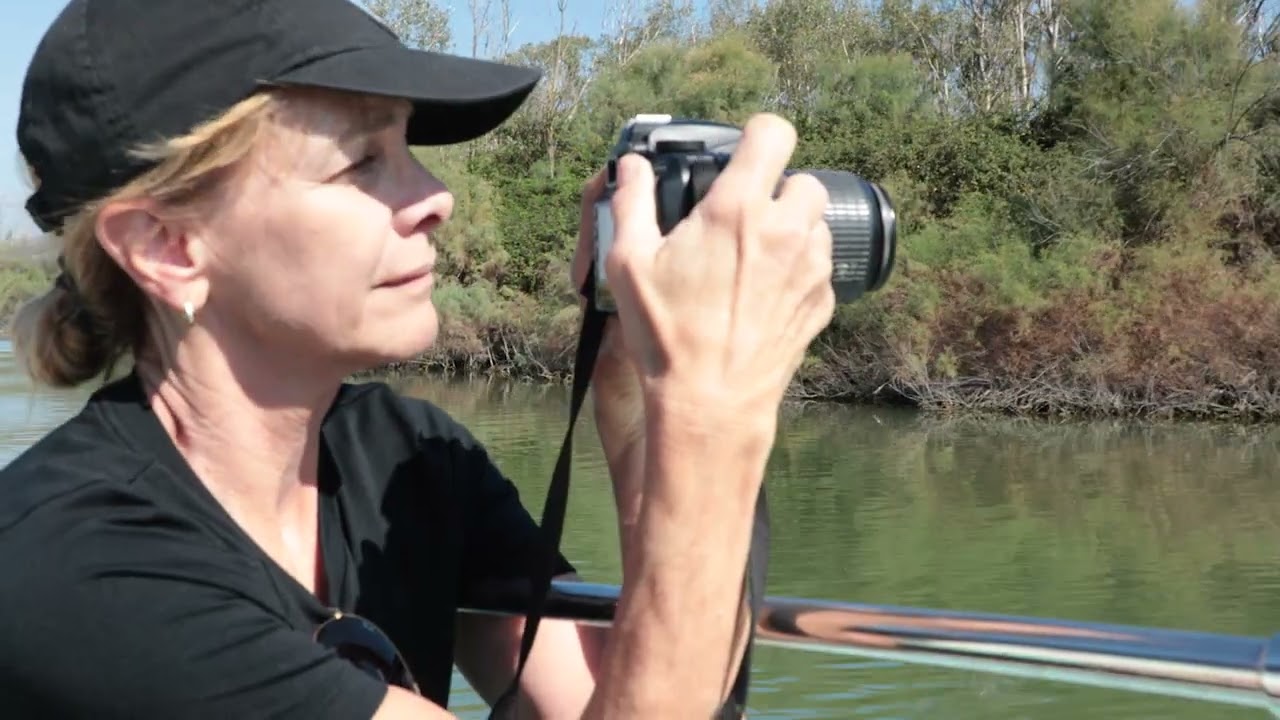 Waterscapes: A Tale of Two Wetlands. From the Everglades to the Venice Lagoon and Back