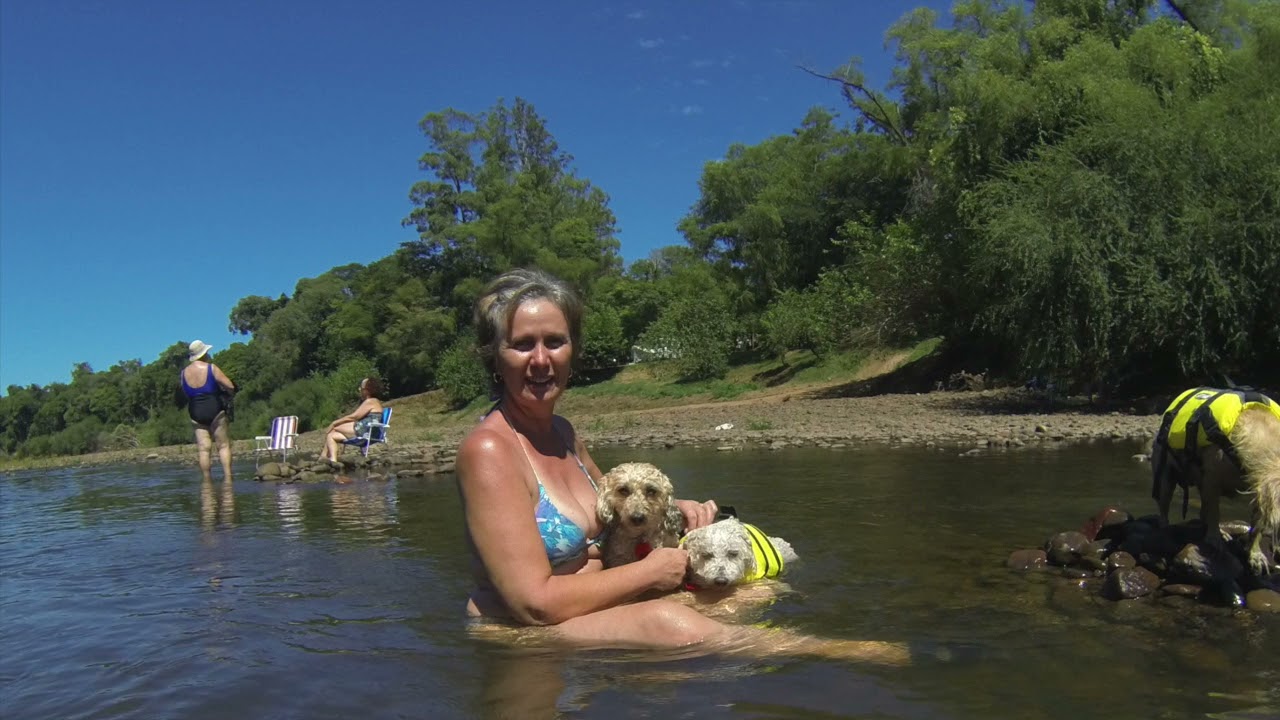 C&atilde;oPanheiros na Estrada Ep. 2 - Balne&aacute;rio Bom Princ&iacute;pio - RS Jan/21