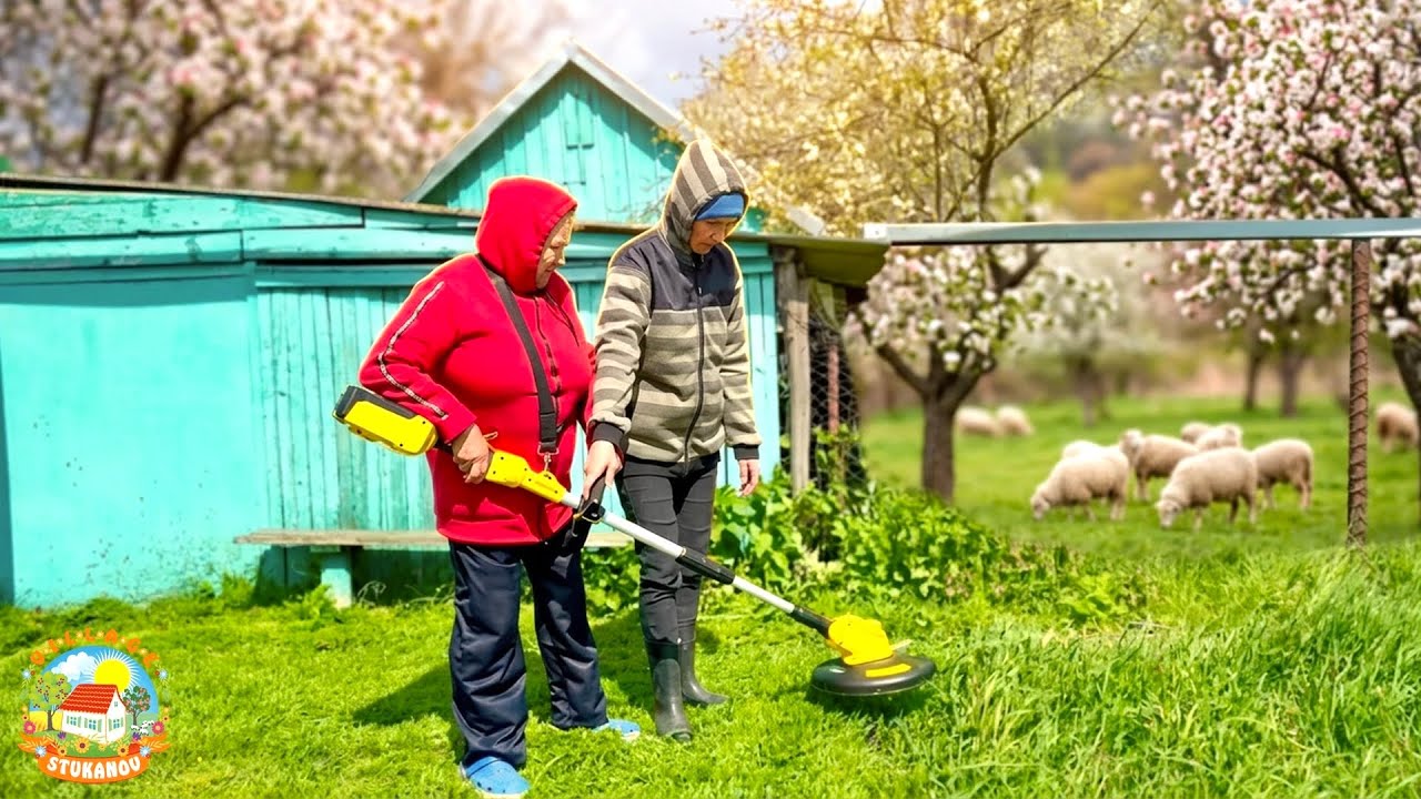 🏡ПРИЕХАЛИ К ТЁЩЕ С ПОДАРКАМИ и посадили сад