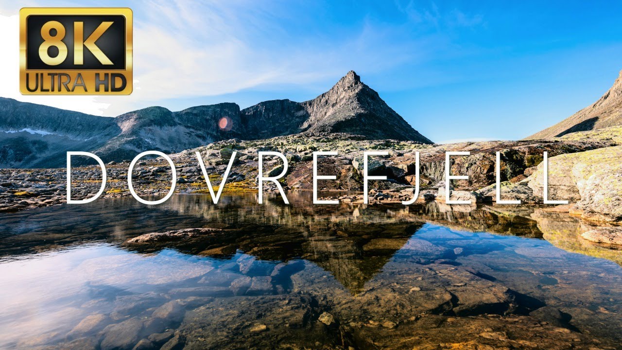 Dovrefjell National Park II - Norway in 8K