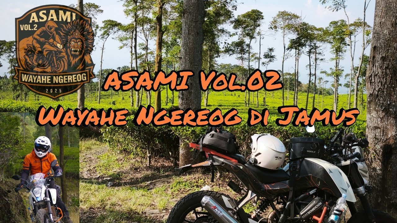ASAMI Vol. 02 WAYAHE NGEREOG!