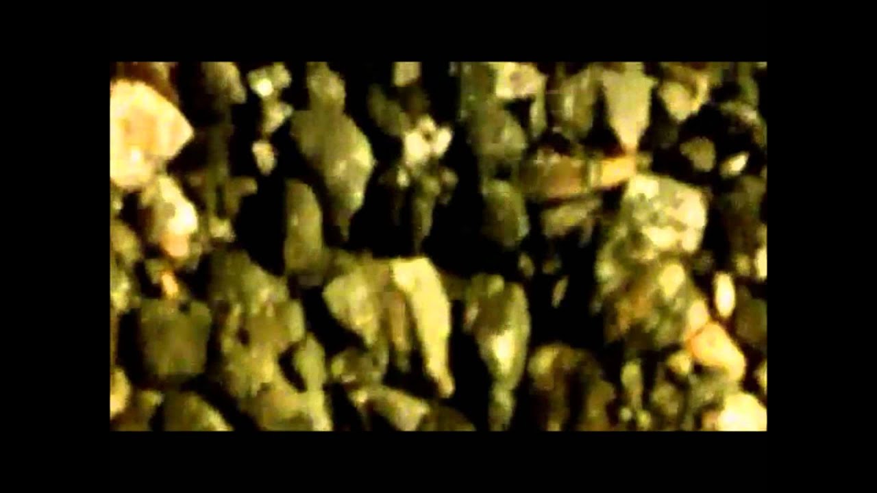 Money & Vigilance Teaser 1