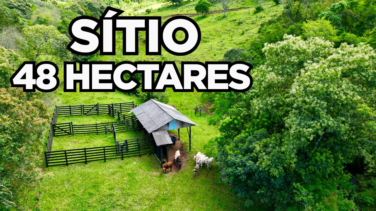 SÍTIO À VENDA EM SANTA CATARINA DE 48 HECTARES