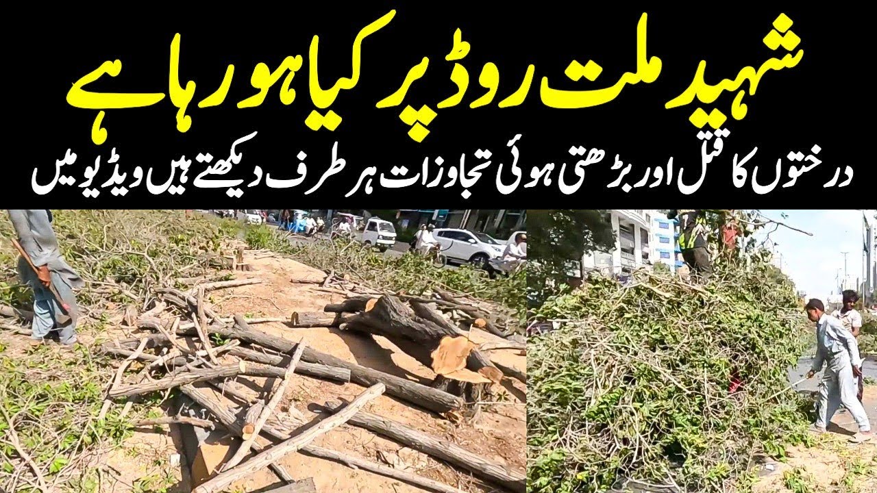 Tree cutting in Karachi Dozens tree cutting Environment destroyed Shaheed e Millat @focus with fahim