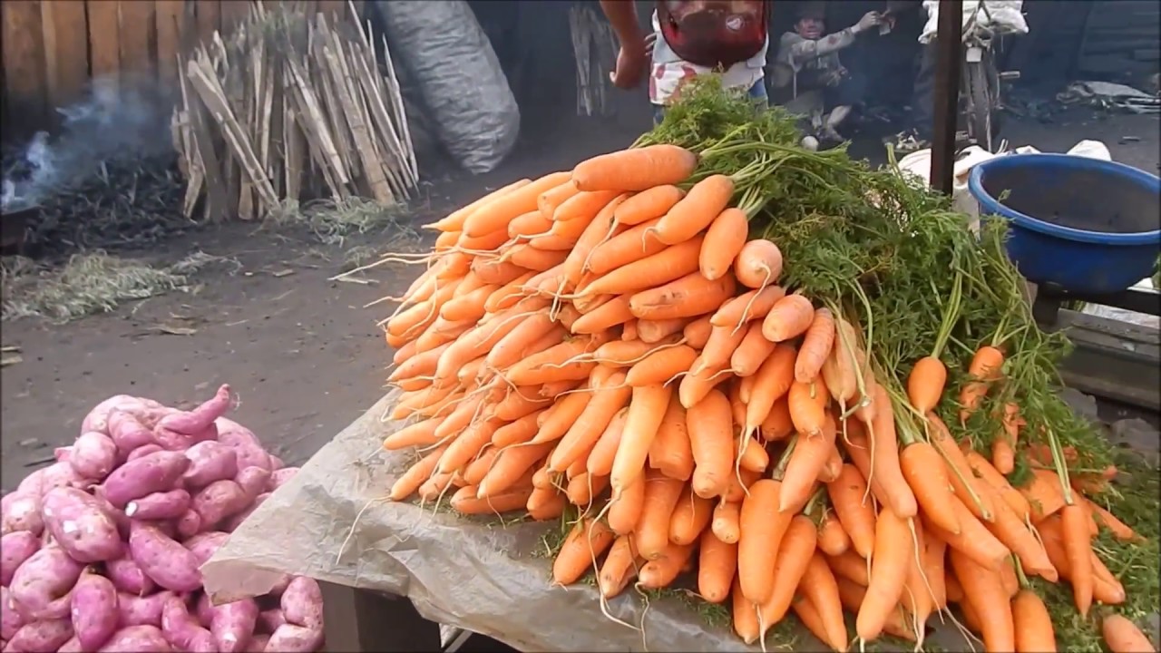 Living in Madagascar (Antsirabe)