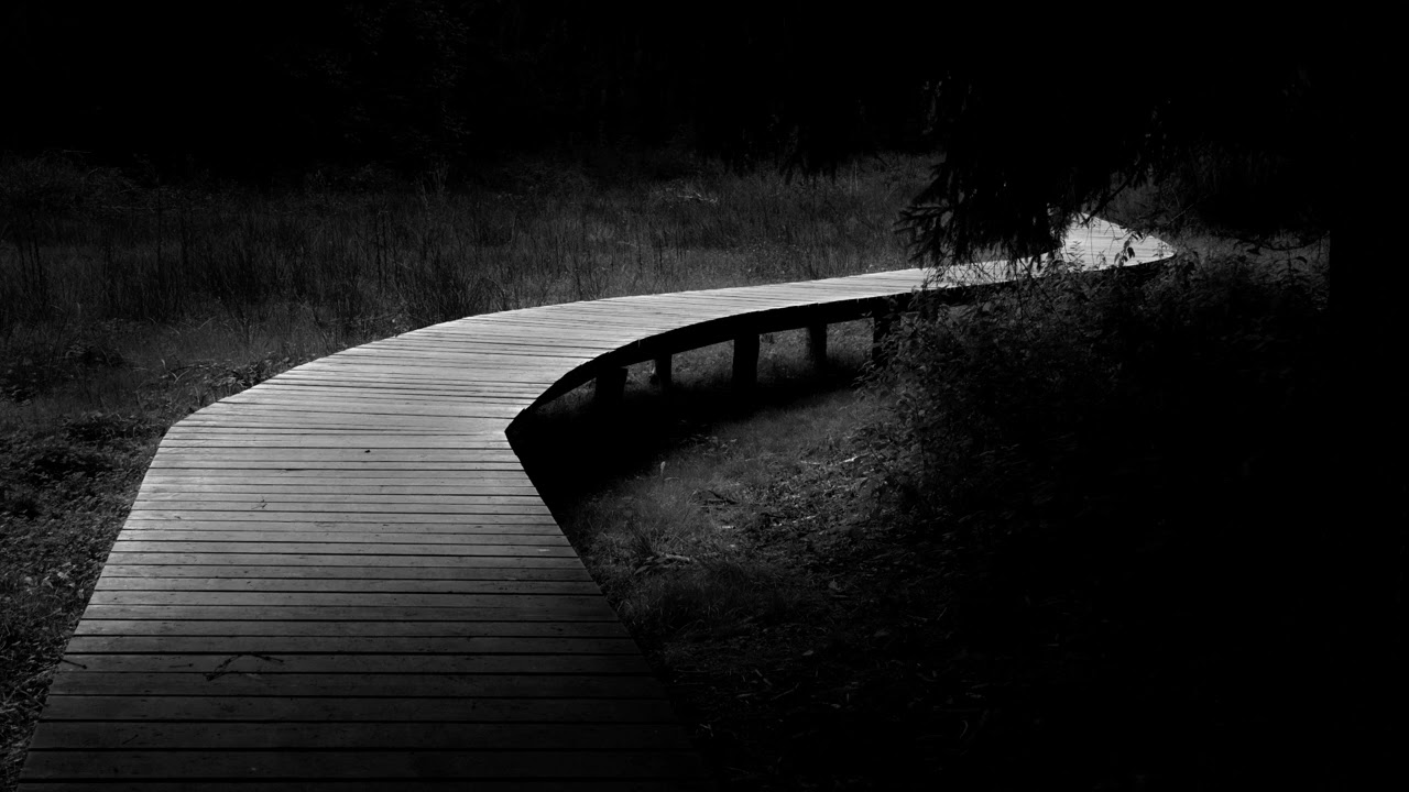 Franco Dalmati: Back To The Origins (Original Mix)