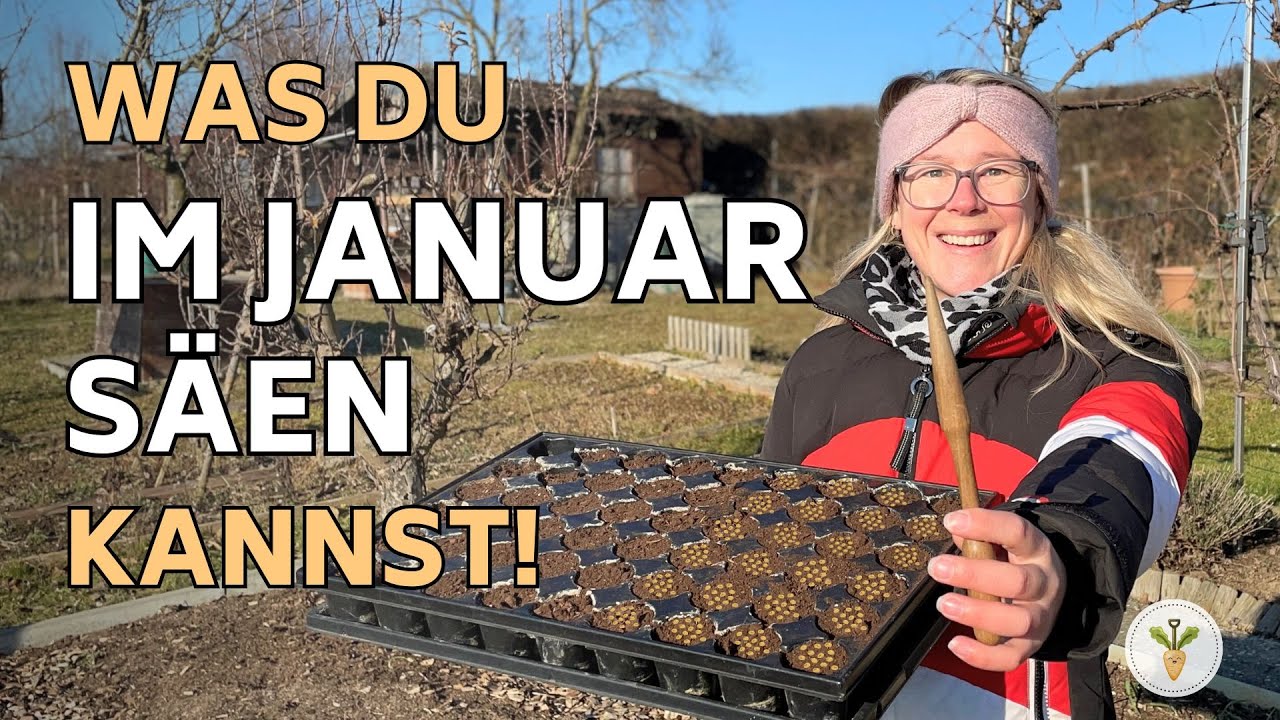 Aussaat im Januar: Was ich jetzt säe – und was nicht I Gemüse aussäen im Winter & gute Anzuchterde