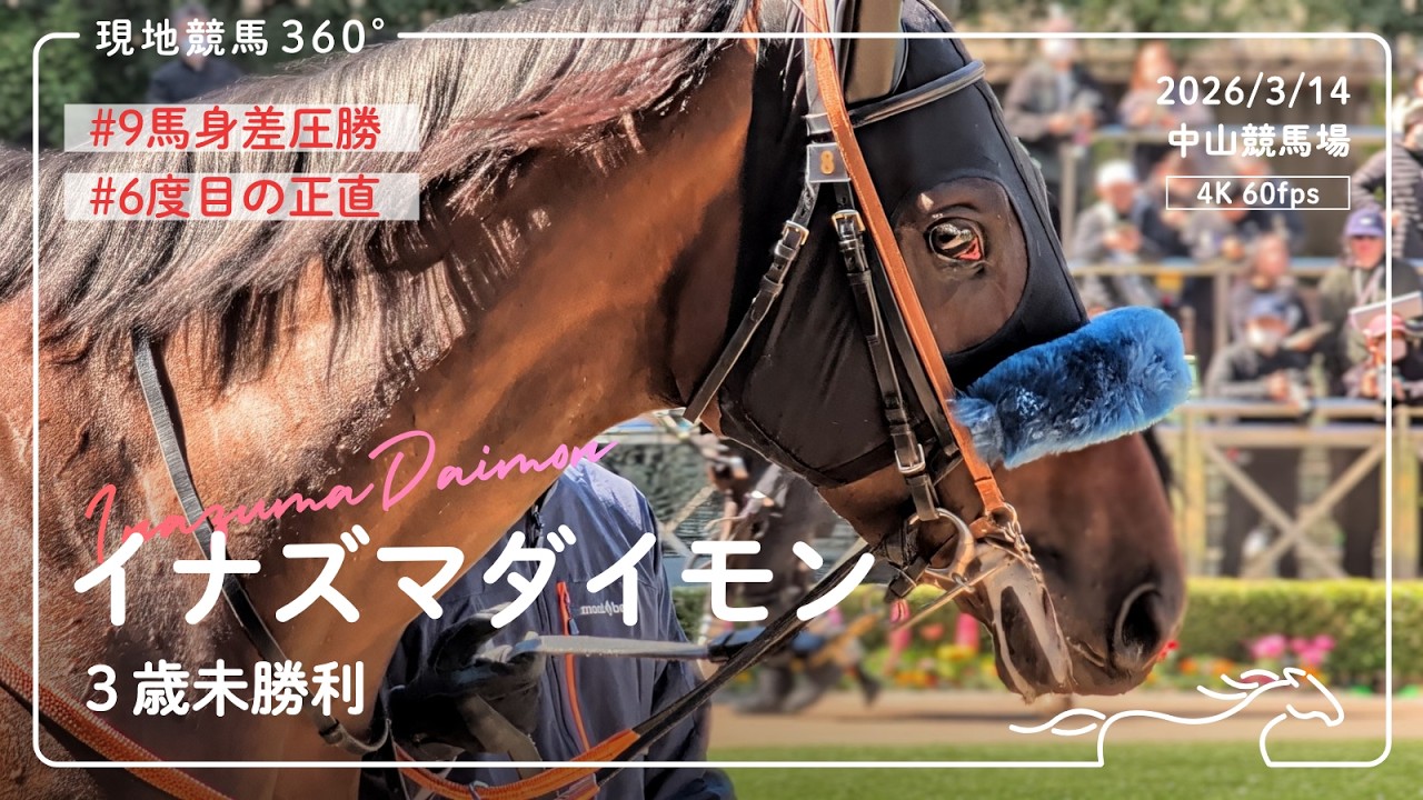 [ 9馬身差圧勝 ] イナズマダイモン｜3歳未勝利 パドック/レース｜2026/3/14 中山競馬場｜4K/60fps