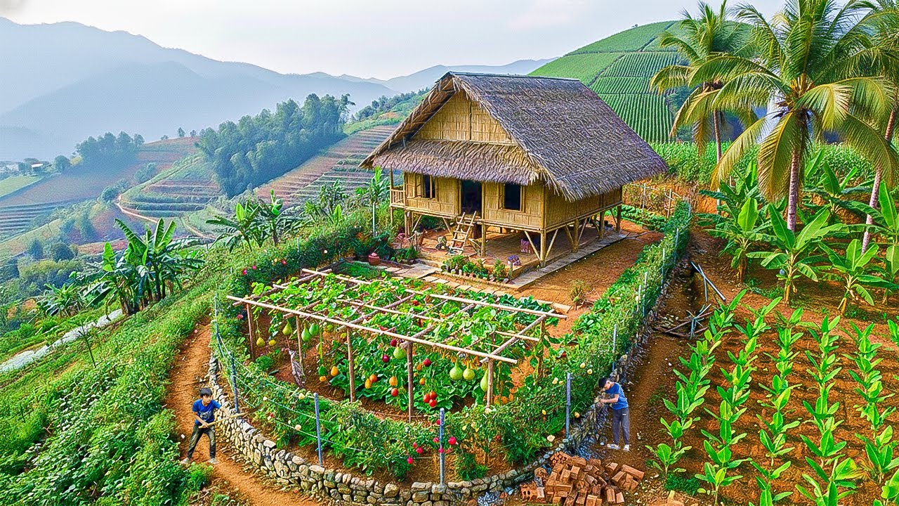 Orphan Boy Building a New Fruit Garden for the Upcoming Harvest Season on His Farm