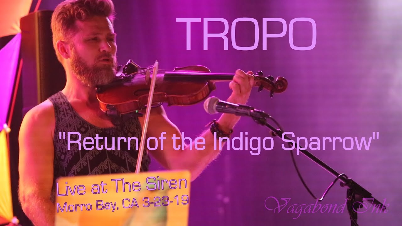 Tropo - Return of the Indigo Sparrow