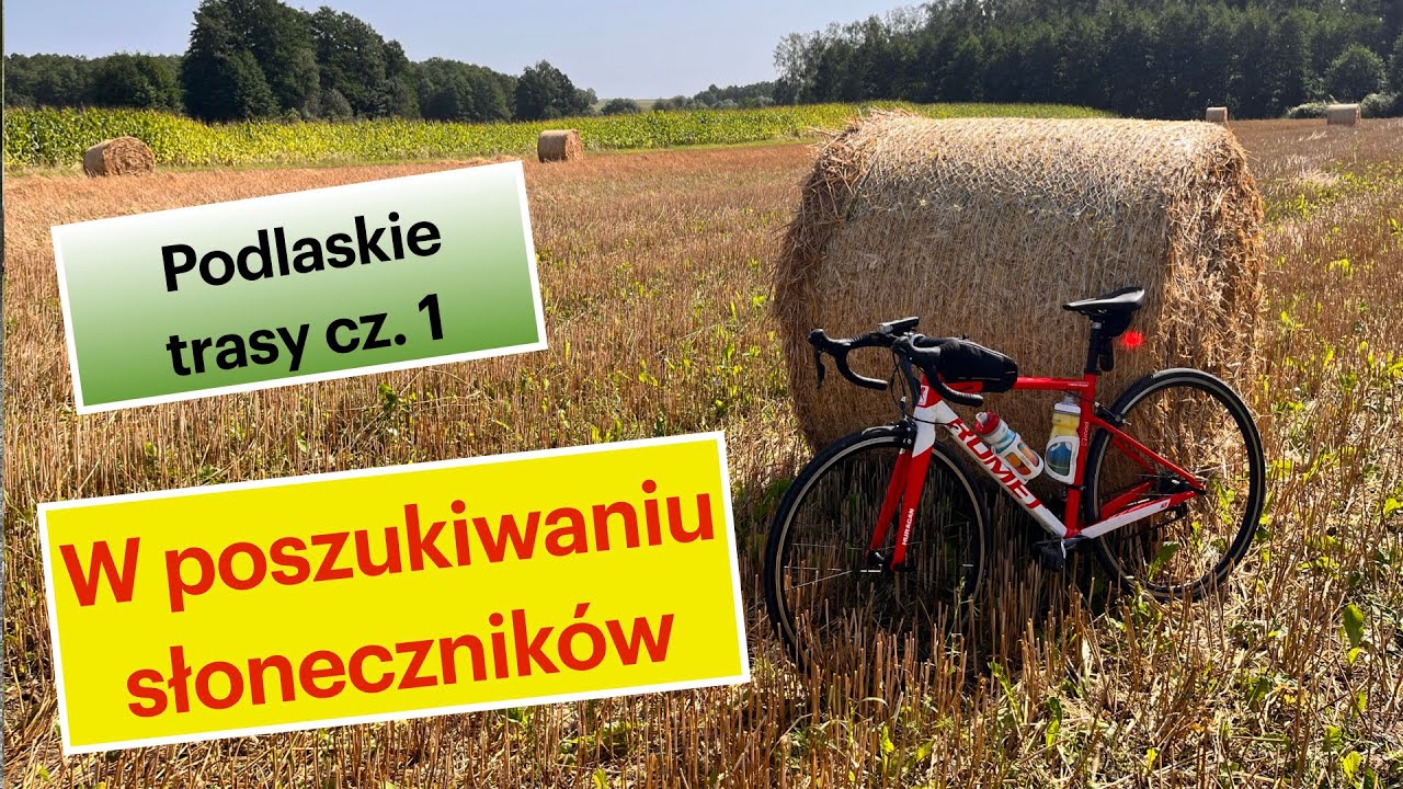 Podlaskie trasy rowerowe cz. 1 W poszukiwaniu pół słoneczników