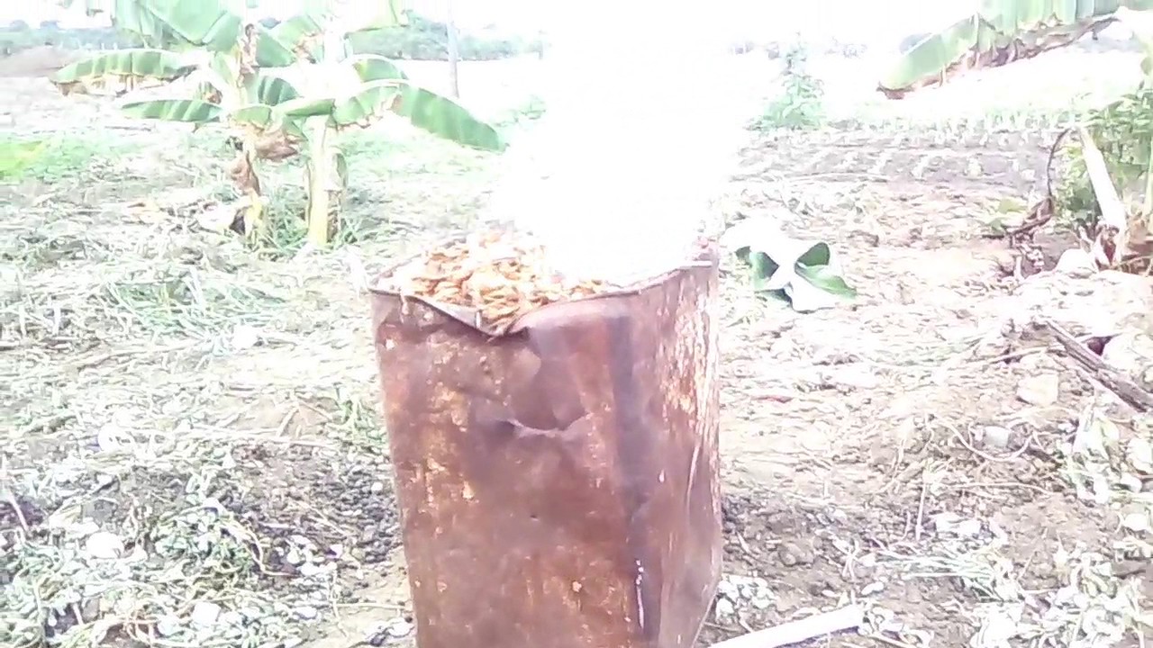 Carbonizado de serragem