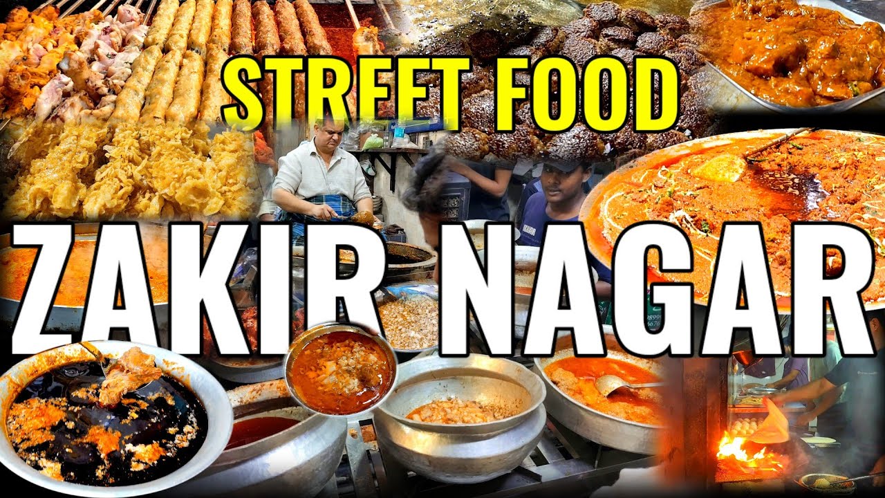 ZAKIR NAGAR NON VEG STREET FOOD /  MUGHLAI TURKISH + ARABIAN FOOD / 4K WALK