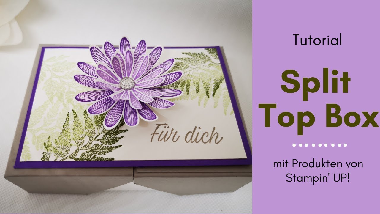 Split Top Box Geschenkverpackung Gänseblümchenglück mit Stampin` Up! Produkten