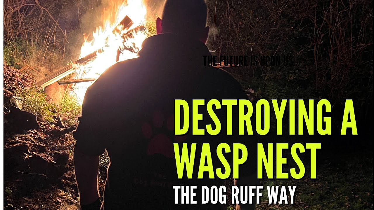 How to get rid of a WASP NEST. The Dog Ruff Way...............with ROCKET MOTORS