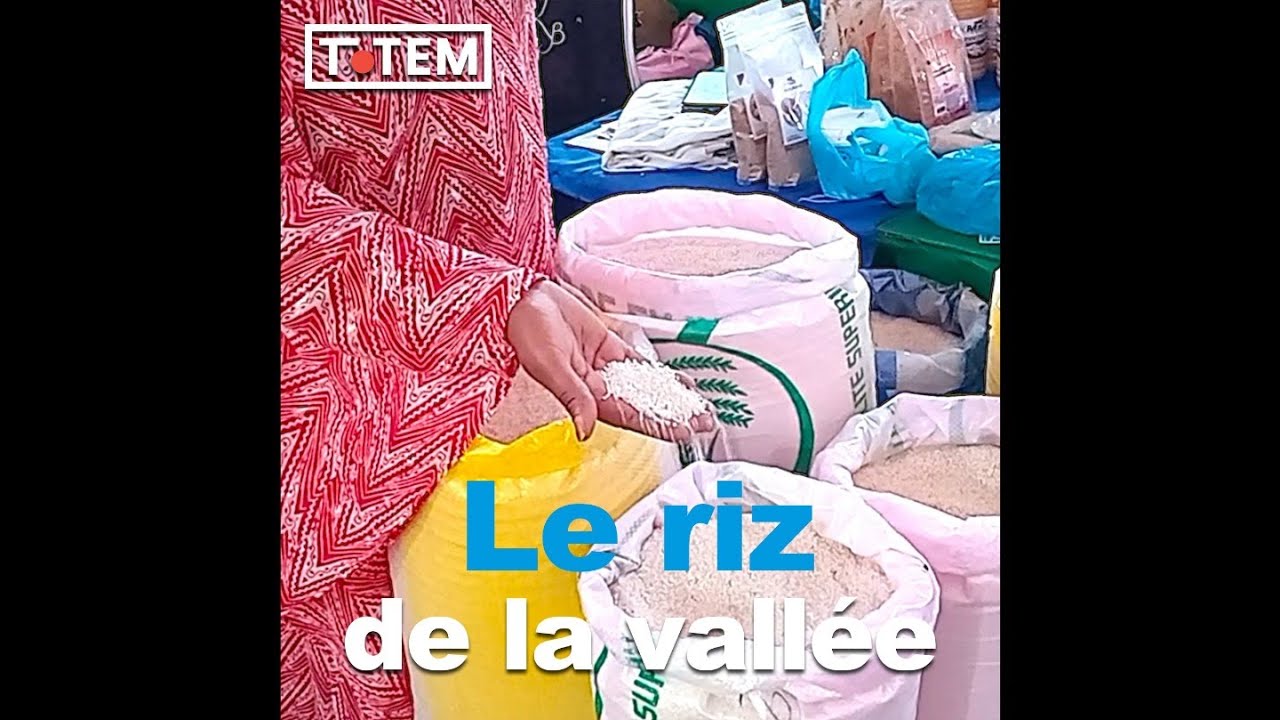 Fa est une des courageuses productrices de riz de la vall&eacute;e du fleuve S&eacute;n&eacute;gal 🇸🇳