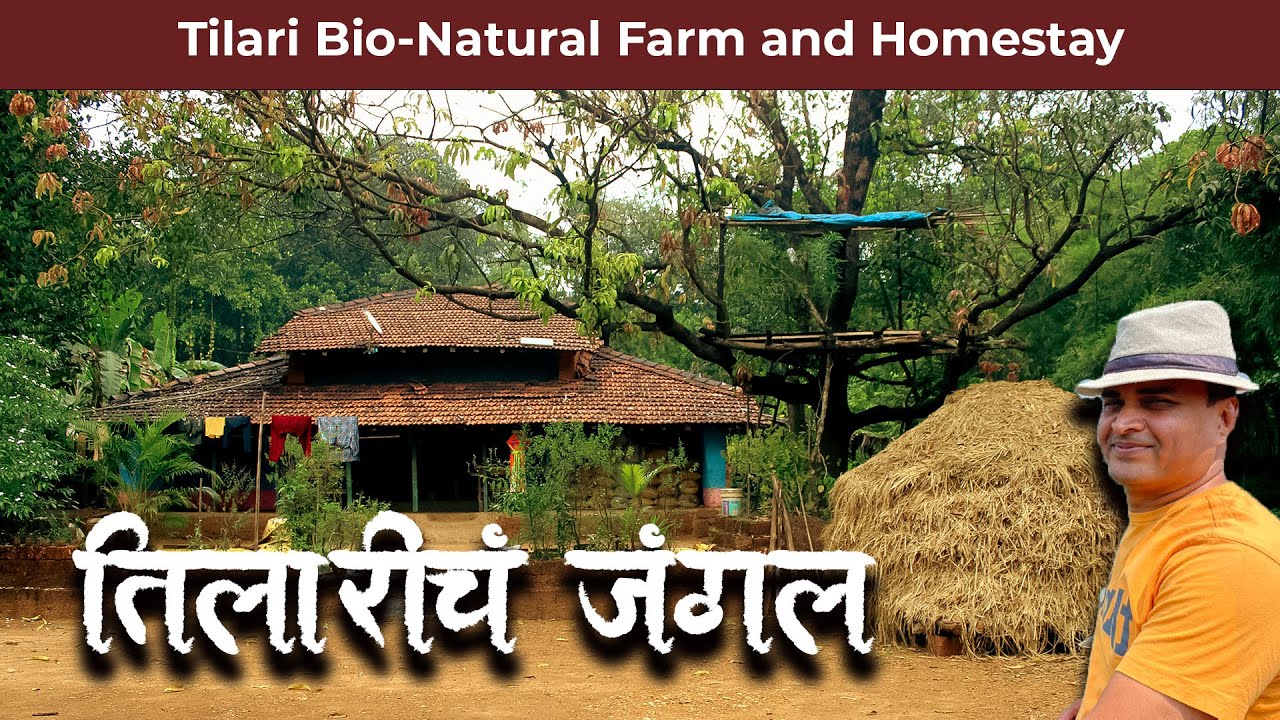 Tilari Forest Stay l Tilari Bio Natural Farm & Homestay l Tilari wildlife sanctuary | Tilari Dam