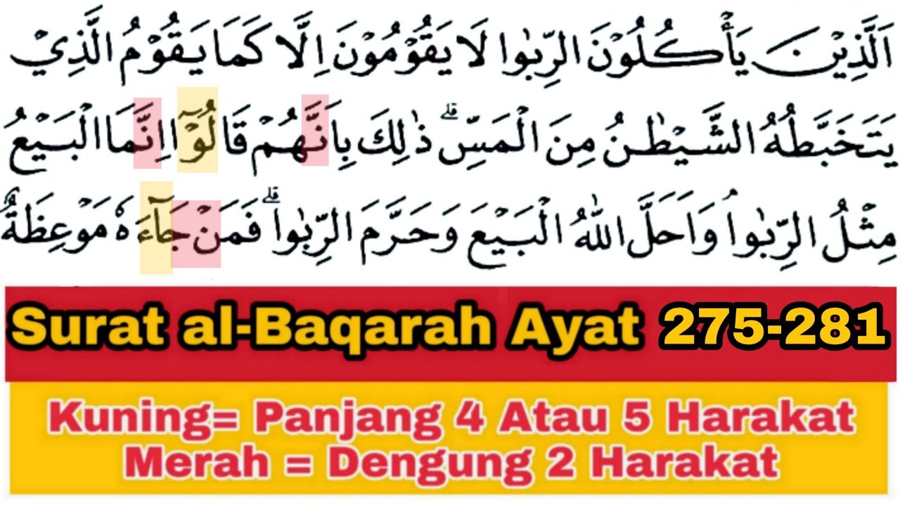 Tadarus Surat al-Baqarah Ayat 275-281, Ada Warna Tanda Panjang & Dengung Agar Lancar Baca al-Quran