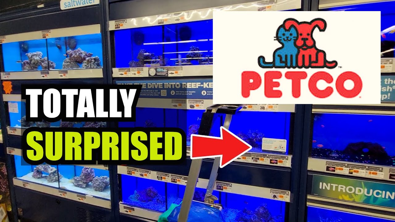 PETCO Store Tour in Marlboro NJ
