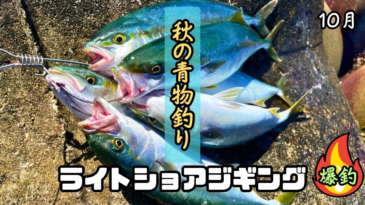 【ライトショアジギング】秋の青物釣り　Wヒット連発！　ブリ族爆釣