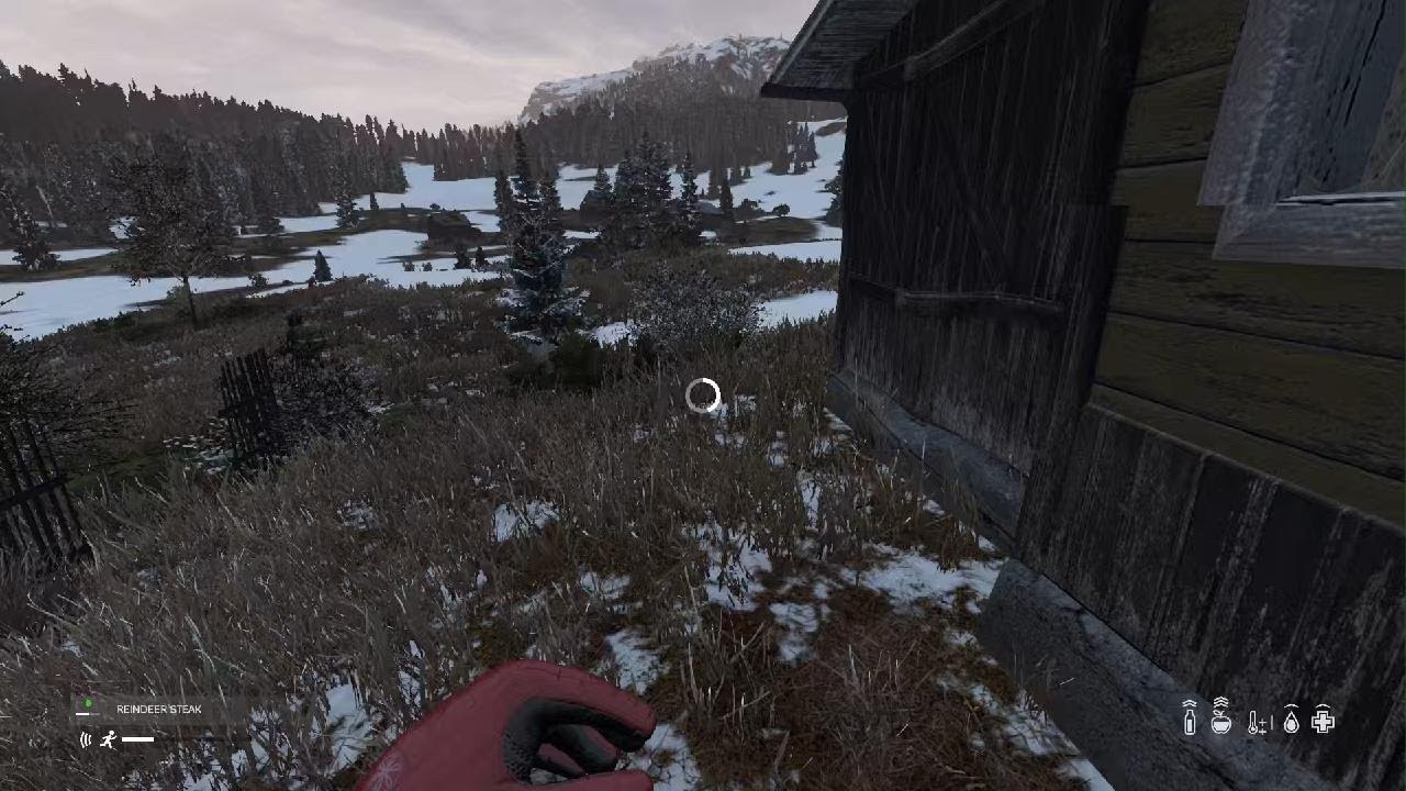 DayZ pvp