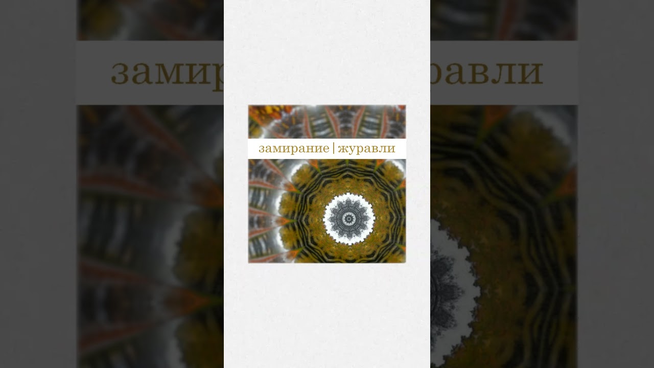 Замирание - Журавли #independentmusic #indierock #музыка #song