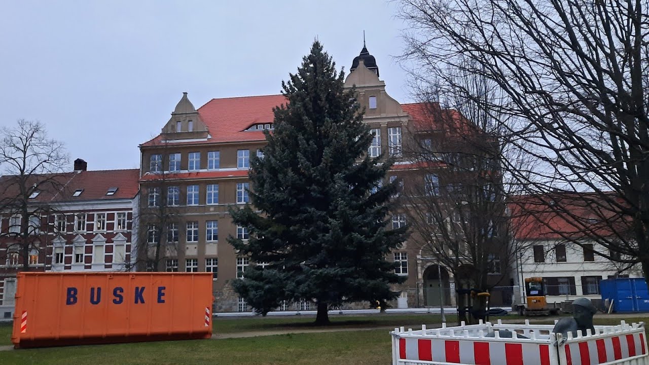 Stendal🌲Blautanne soll 😡 gefällt werden! Wegen 