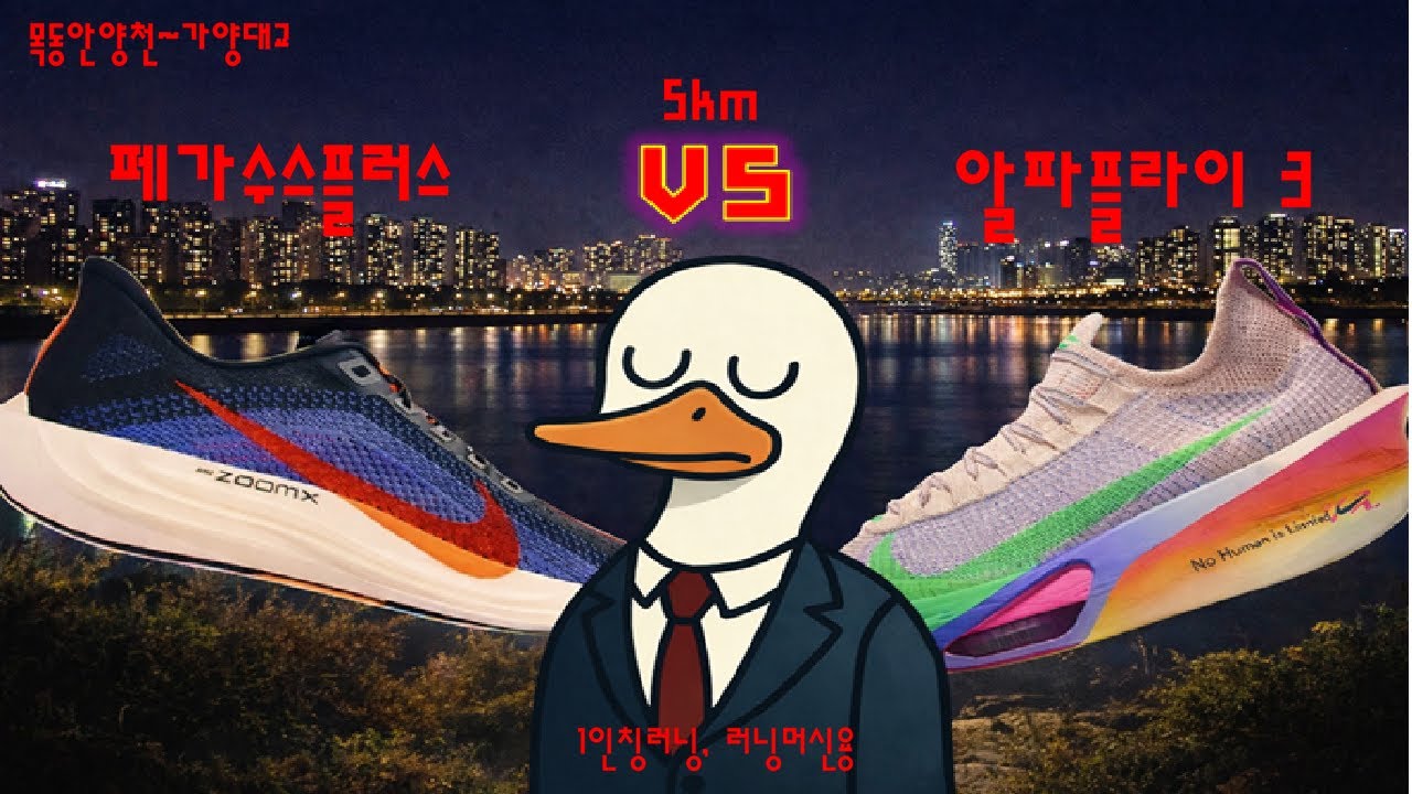 #5 알파플라이vs페가수스 5KM  TT런