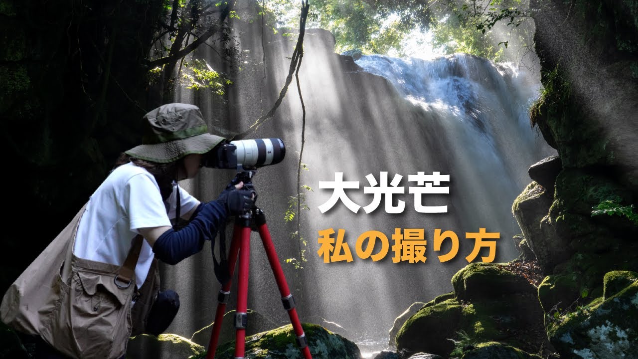 【 光芒が出る条件 】私のレンズ・構図・設定などをお話しします。