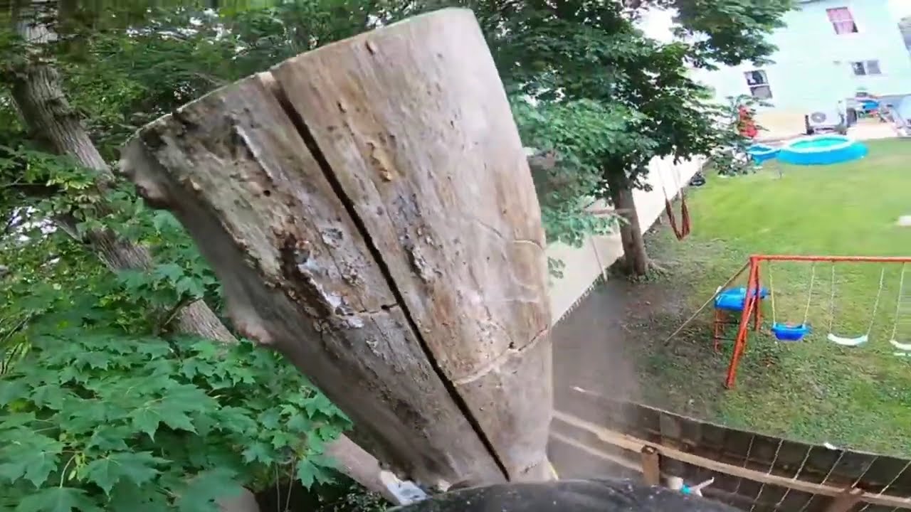Dangerous Tree Removal Jobs 🌲 | Skilled Arborist Chainsaw Work (Part 10)